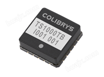 TS1000T高温倾斜角度传感器