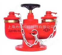 多用式地下消防水泵接合器SQD100-1.6A